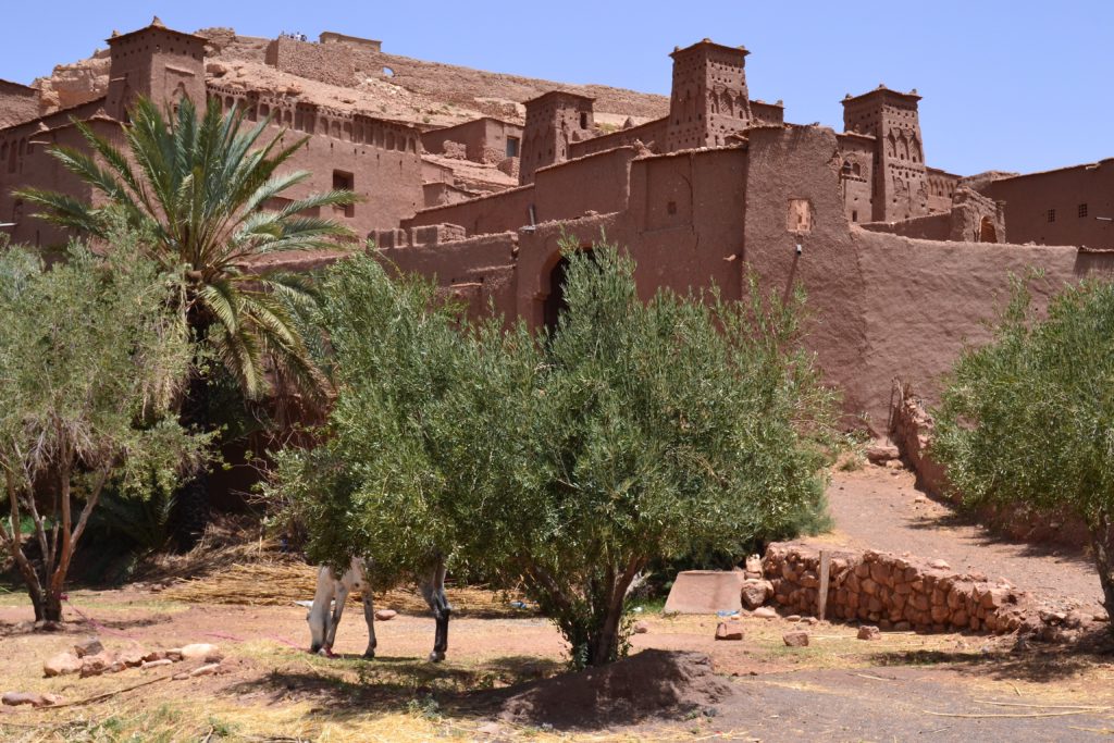 Your ultimate Ouarzazate travel guide